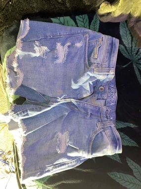 Arizona Jean Company Distressed Light Blue Denim Shorts